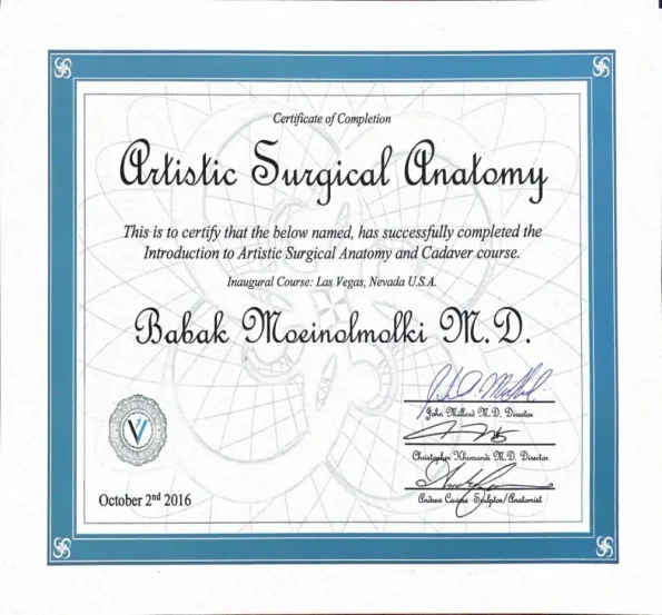 Artistic-Surgical-Anatomy-595xh